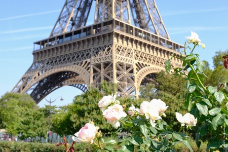 Foto Torre Eiffel y flores
