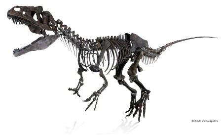 Foto del esqueleto de un dinosaurio carnívoro subastado por Aguttes en la Torre Eiffel.